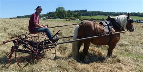 À l'ancienne 2025